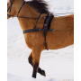 Skijoring Harness - Standard_2